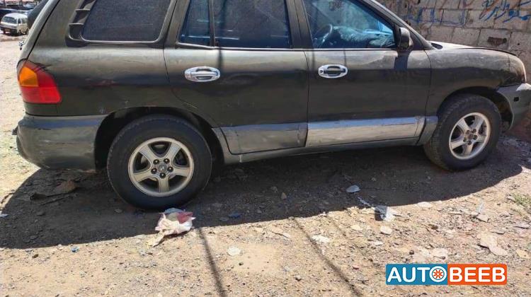 Hyundai Santa Fe 2003